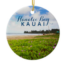 Hanalei Bay Kauai Hawaii 2 año de foto
