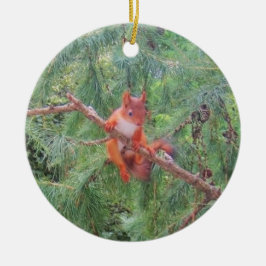 Adorno De Cerámica Hanging in There