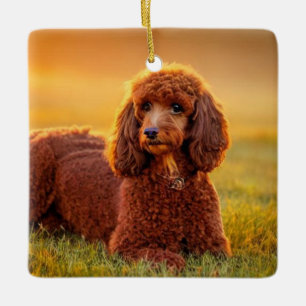Adorno De Cerámica Happy Poodle