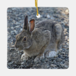 Adorno De Cerámica Hare Ornament