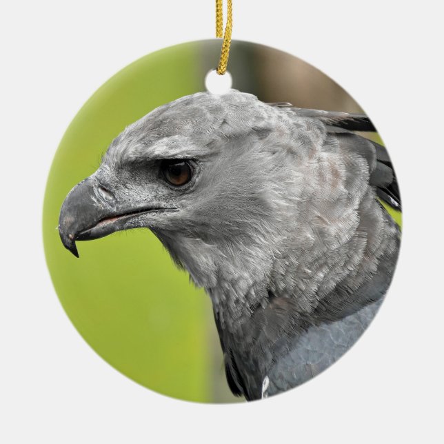 Adorno De Cerámica Harpy Eagle 2.JPG (Frente)