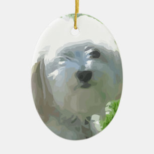Adorno De Cerámica Havanese