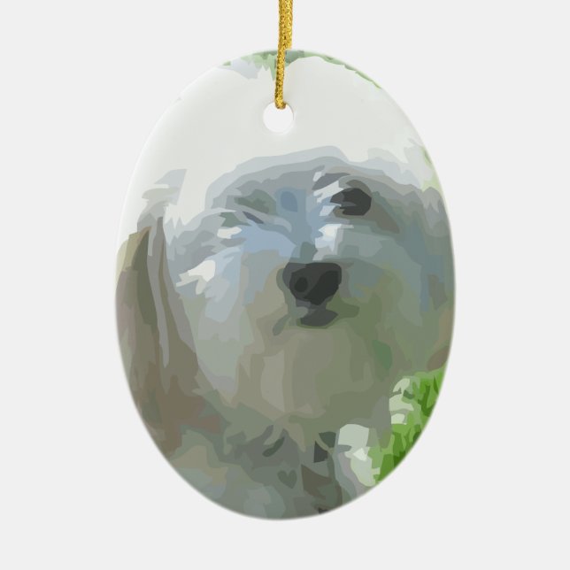 Adorno De Cerámica Havanese (Frente)