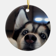 Hay Alguien Ahí Fuera