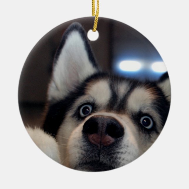 Adorno De Cerámica Hay Alguien Ahí Fuera (Frente)