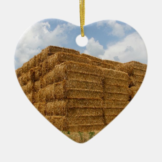 Adorno De Cerámica HaY BaLEs (Frente)