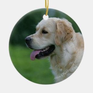 Adorno De Cerámica Headshot 2 2 del golden retriever
