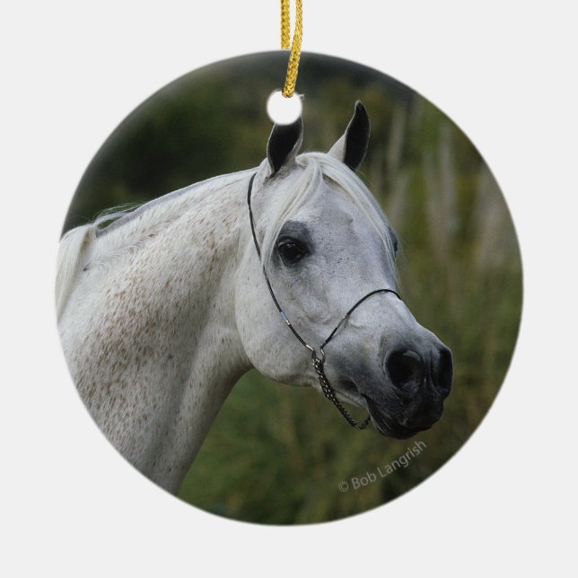 Adorno De Cerámica Headshot árabe 1 del caballo (Frente)