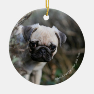 Adorno De Cerámica Headshot del perrito del barro amasado del