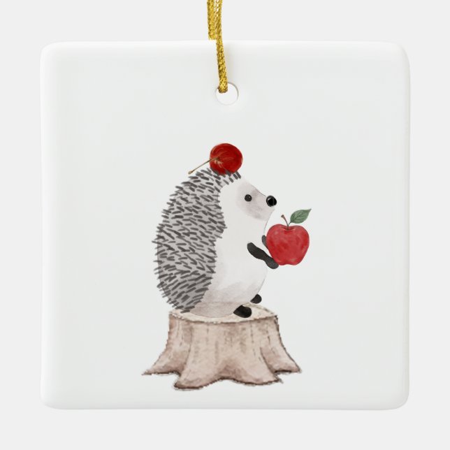 Adorno De Cerámica Hedgehog (Anverso)