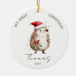 Adorno De Cerámica Hedgehog Baby 1st Christmas Photo Ornament