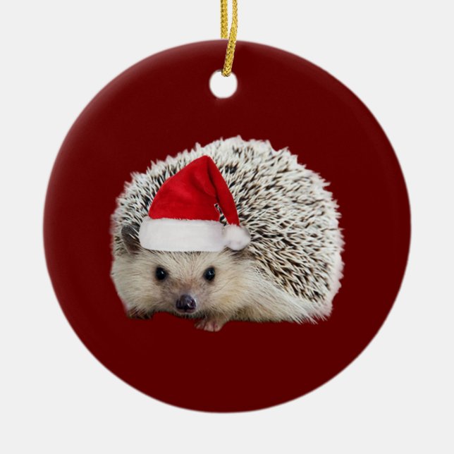 Adorno De Cerámica Hedgehog Con Navidades De Luces Gorras (Frente)
