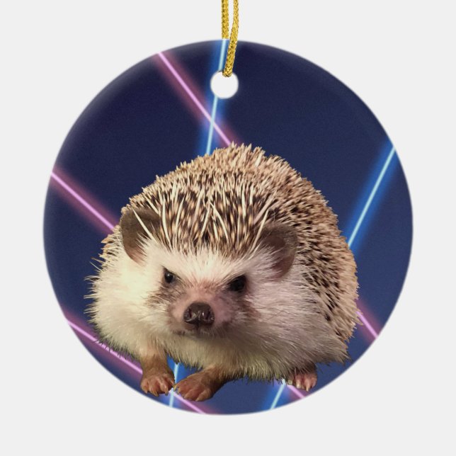 Adorno De Cerámica Hedgehog Ornament (Frente)