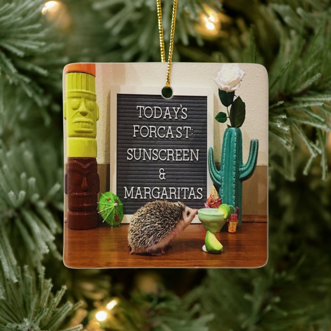 Adorno De Cerámica Hedgehog Sunscreen y Margaritas (Árbol)