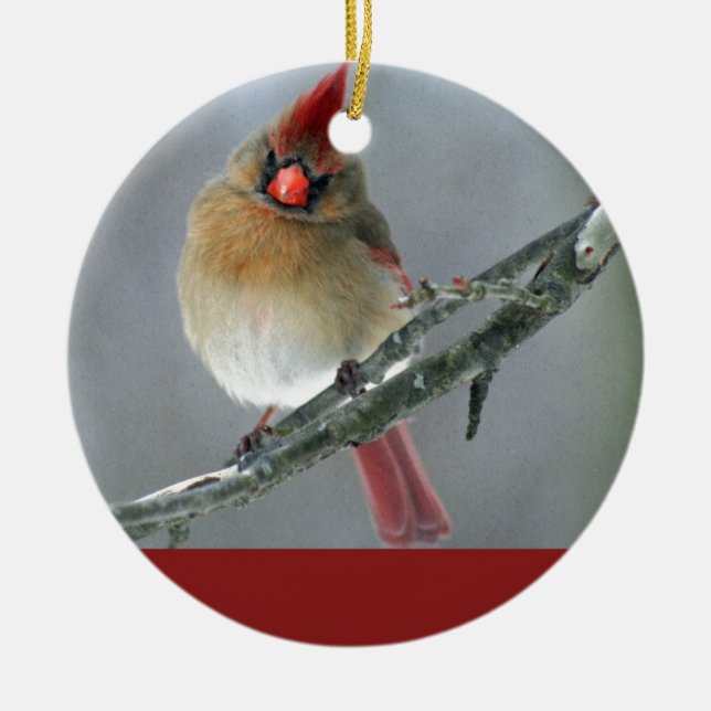 Adorno De Cerámica Hembra cardinal septentrional (Frente)