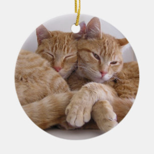 Adorno De Cerámica Hermanos anaranjados del Tabby