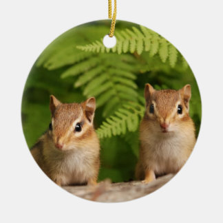 Adorno De Cerámica Hermanos dulces del Chipmunk del bebé