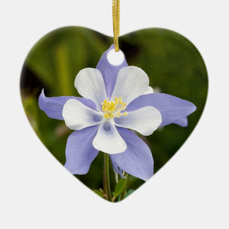 Adorno De Cerámica Hermosa Columbine