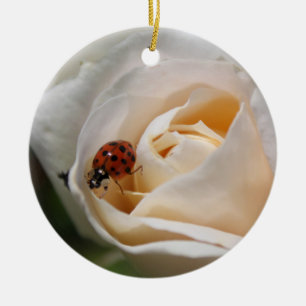 Adorno De Cerámica hermosa flor de rosa blanca y mariquita