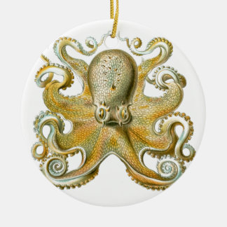 Adorno De Cerámica Hermosa foto de pulpo de Haeckel
