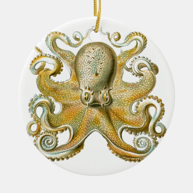 Adorno De Cerámica Hermosa foto de pulpo de Haeckel (Frente)
