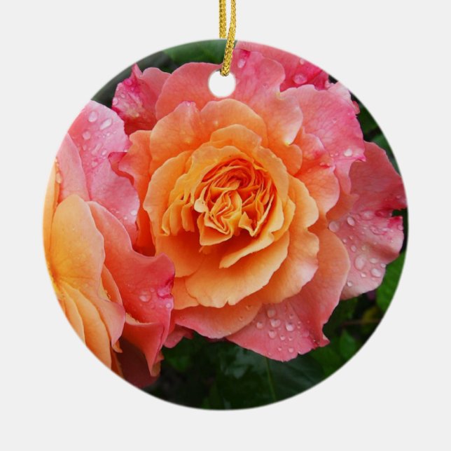 Adorno De Cerámica Hermosa foto rosa rosa rosa rosa rosa (Frente)
