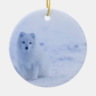 Adorno De Cerámica Hermosa Fox Ártica