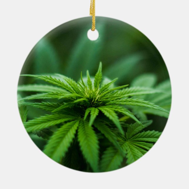 Adorno De Cerámica Hermosa hierba (Atrás)