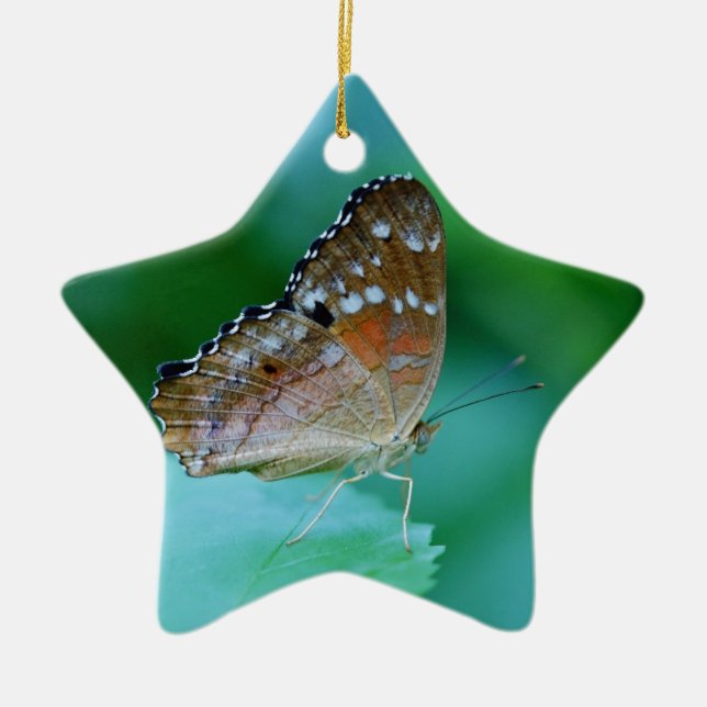 Adorno De Cerámica Hermosa mariposa Danaus Plexippus en hojas. (Frente)