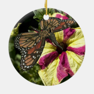 Adorno De Cerámica Hermosa mariposa elefante