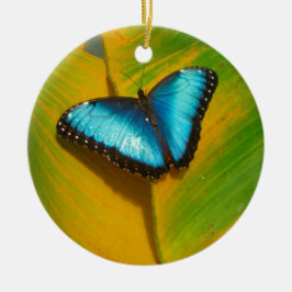 Adorno De Cerámica Hermosa Mariposa Irisada