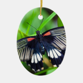 Adorno De Cerámica Hermosa mariposa negra, blanca y roja