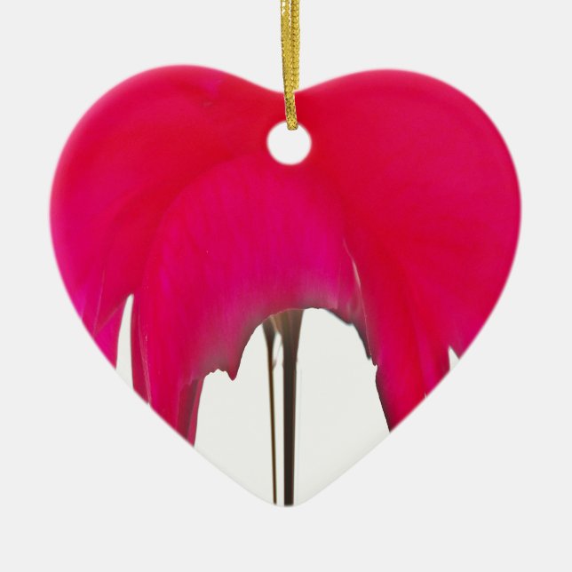 Adorno De Cerámica Hermosa rosa roja asombrosa bajo el cielo blanco (Frente)