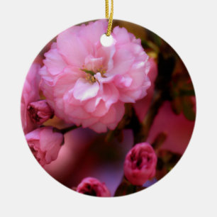 Adorno De Cerámica Hermosas flores de cerezo rosado de primavera