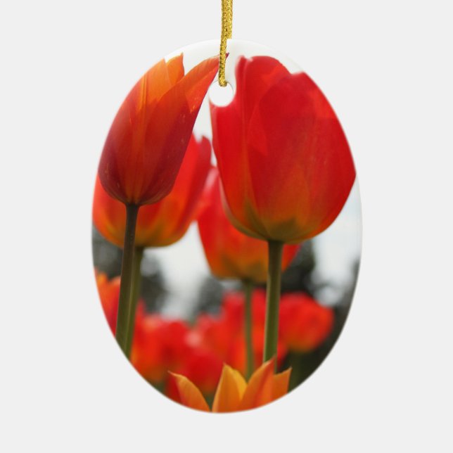 Adorno De Cerámica Hermosas Flores Rojas De Tulipanes. (Frente)