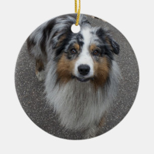 Adorno De Cerámica Hermoso Aussie multicolor