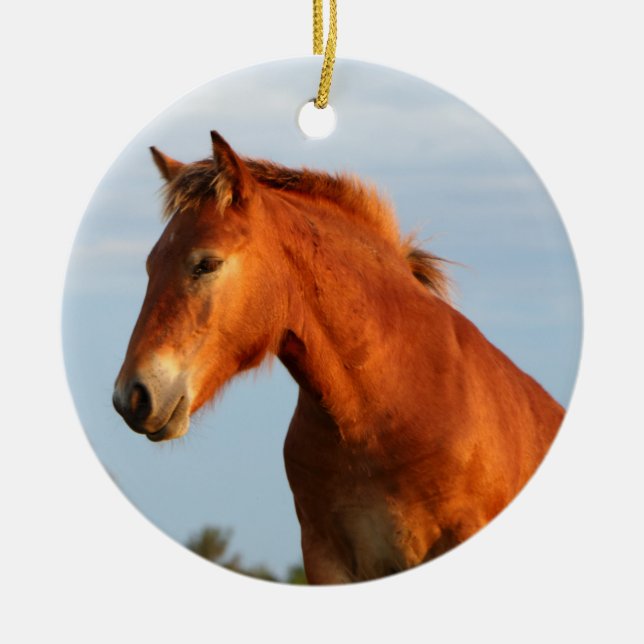 Adorno De Cerámica Hermoso caballo de mula (Frente)