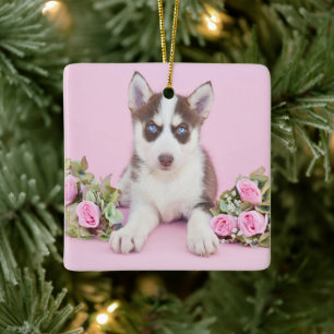 Adorno De Cerámica Hermoso cachorro humilde con rosas rosas rosas