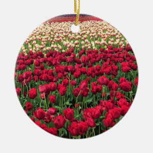 Adorno De Cerámica Hermoso Campo Tulipán, Oregón