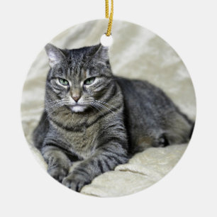 Adorno De Cerámica Hermoso gato