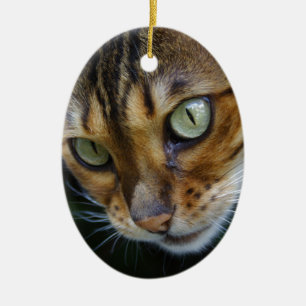 Adorno De Cerámica Hermoso gato bengalí