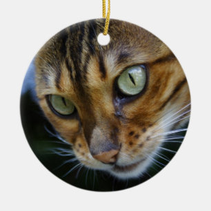 Adorno De Cerámica Hermoso gato bengalí
