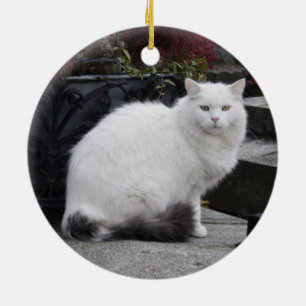 Adorno De Cerámica Hermoso Gato Blanco En Una Tumba