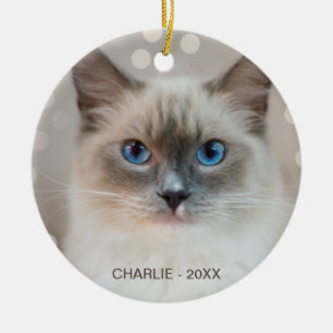 Adorno De Cerámica Hermoso Gato Ragdoll y nombre editable