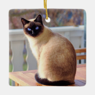 Adorno De Cerámica Hermoso gato siamés con ojos azules