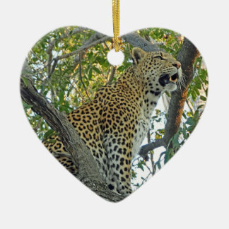 Adorno De Cerámica Hermoso leopardo en primer plano