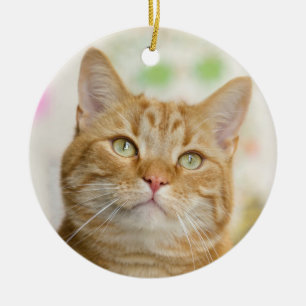 Adorno De Cerámica Hermoso Naranja Tabby Cat Cierre