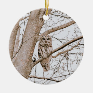 Adorno De Cerámica Hermoso Navidad de Owl Audubon