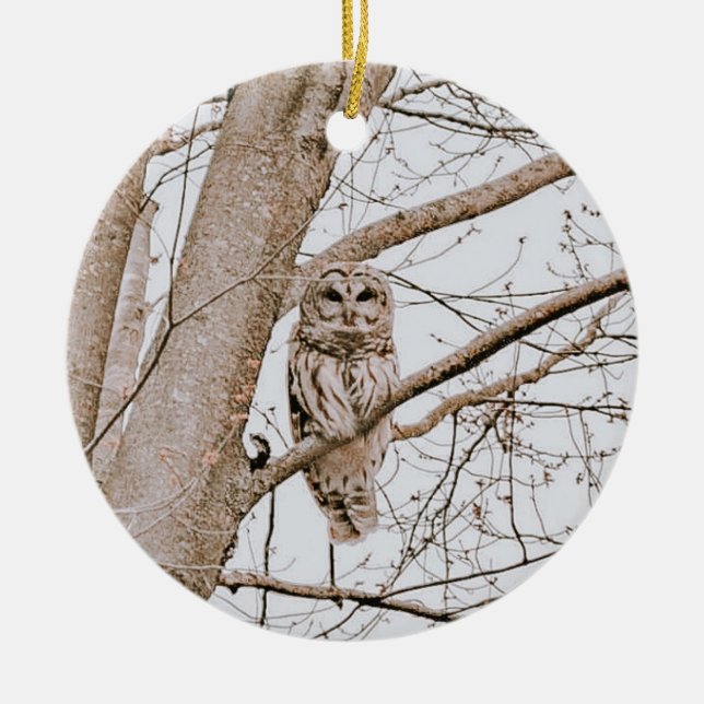 Adorno De Cerámica Hermoso Navidad de Owl Audubon (Frente)