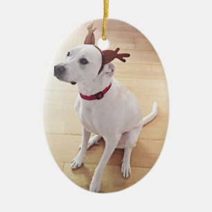 Adorno De Cerámica Hermoso Perro de Cachorro Blanco Raso